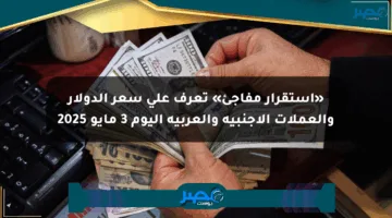 «استقرار مفاجئ» تعرف على سعر الدولار والعملات الأجنبية والعربية اليوم 3 مايو 2025